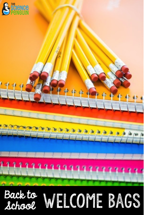 Welcome Bags: organization for back to school