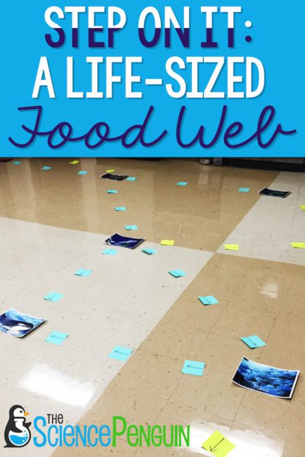 Step on it! A life-sized food web (free printables!)