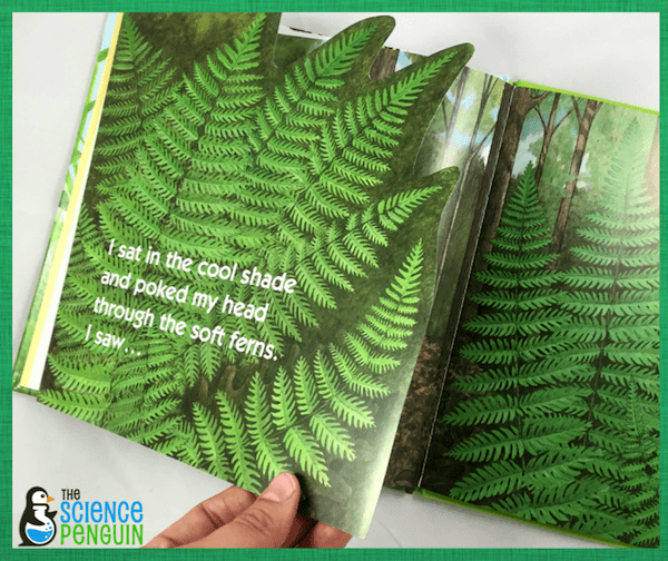 Captivating Science: Nature Walks