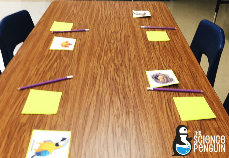 Collaborative Anchor Charts for Science Vocabulary: inherited traits and learned behaviors example