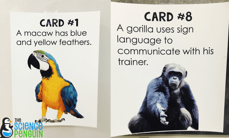 Collaborative Anchor Charts for Science Vocabulary: inherited traits and learned behaviors example