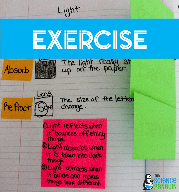 The 3 EXes of Science Vocabulary: Experience, Exercise, Extend