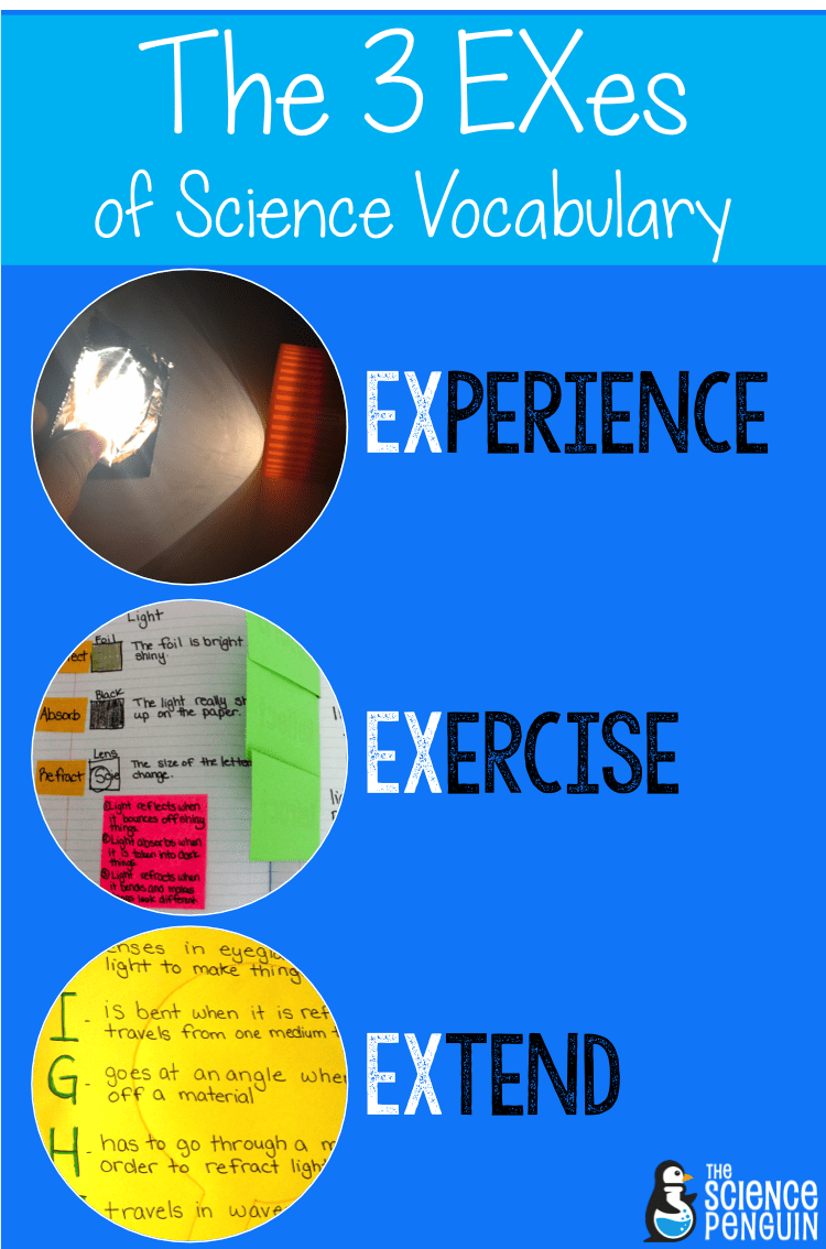 The 3 EXes of Science Vocabulary: Experience, Exercise, Extend