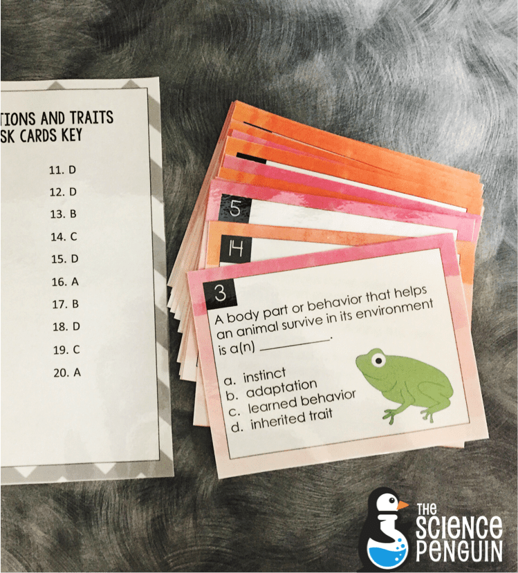 Adaptations and Traits Task Cards