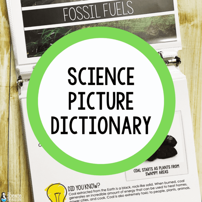 Science Picture Dictionary