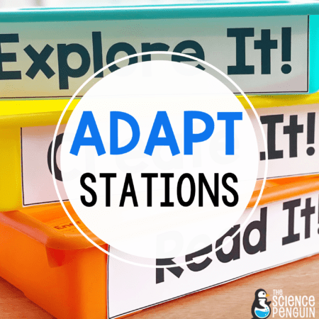 Animal and Plant Adaptations Stations